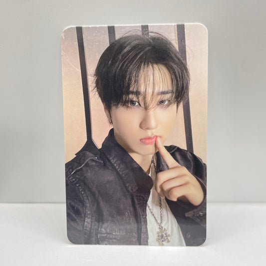 Stray Kids  DO IT EVIL SKZOO Photocard