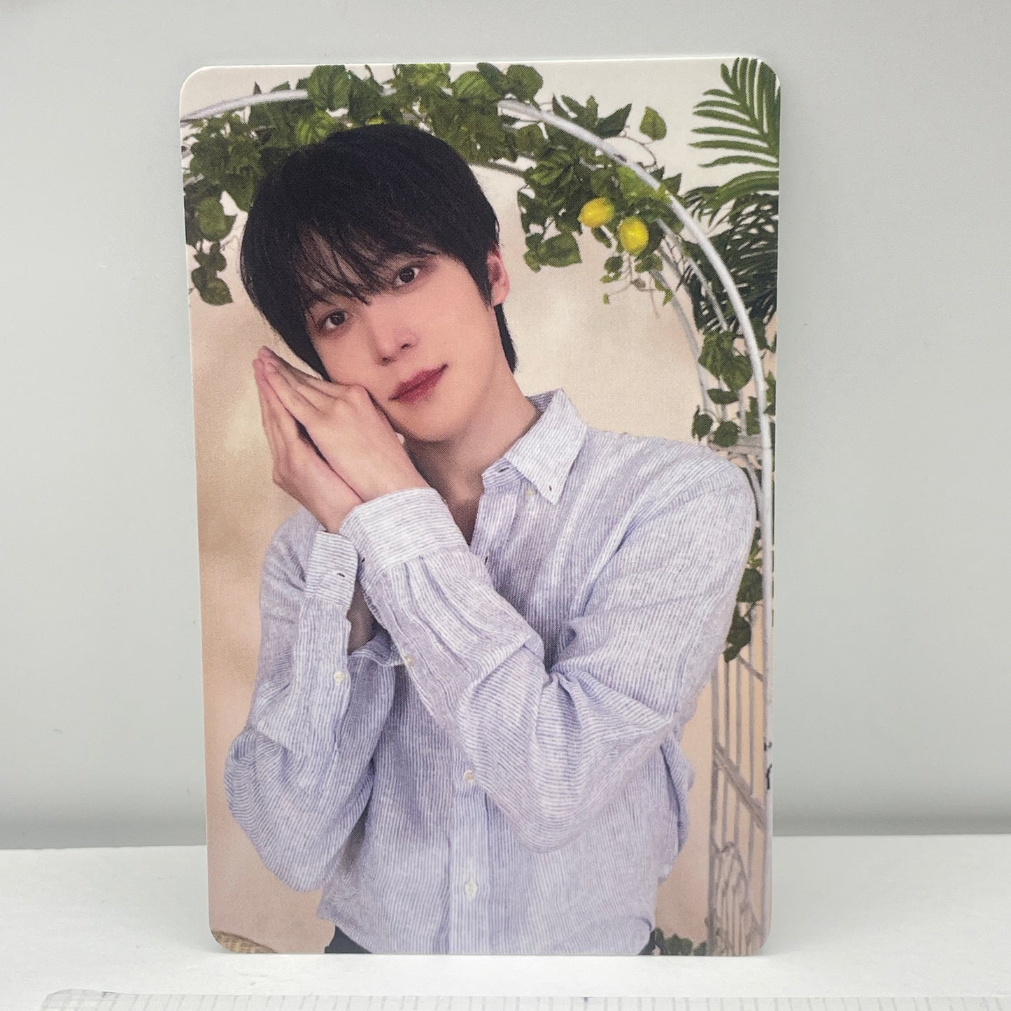 ATEEZ Press, Start! Enter the MIGHTEEZ WORLD POP-UP 購入特典 トレカ