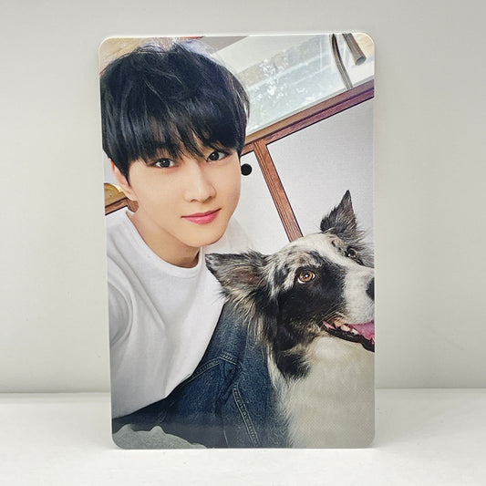 ENHYPEN 2025 日本FC アンケートトレカ