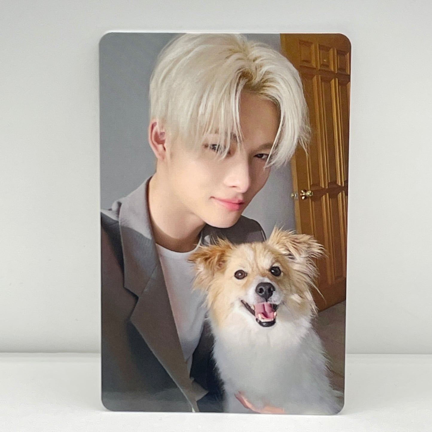 ENHYPEN 2025 日本FC アンケートトレカ