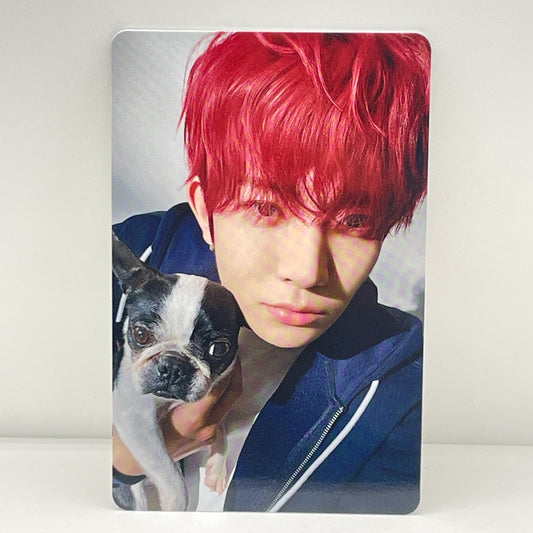 ENHYPEN 2025 日本FC アンケートトレカ