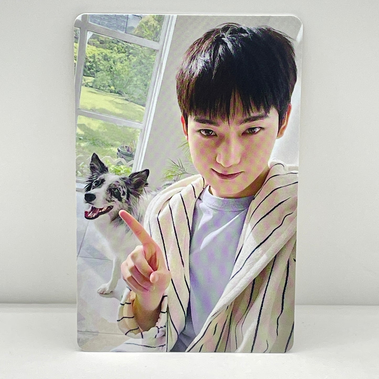 ENHYPEN 2025 日本FC アンケートトレカ