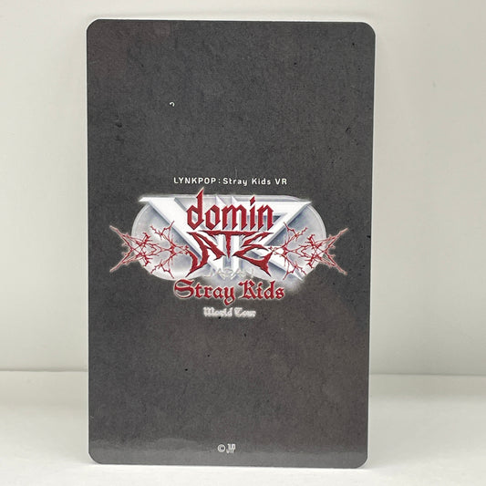 Stray Kids dominATE JAPAN  VR Venue Bonus Photocard