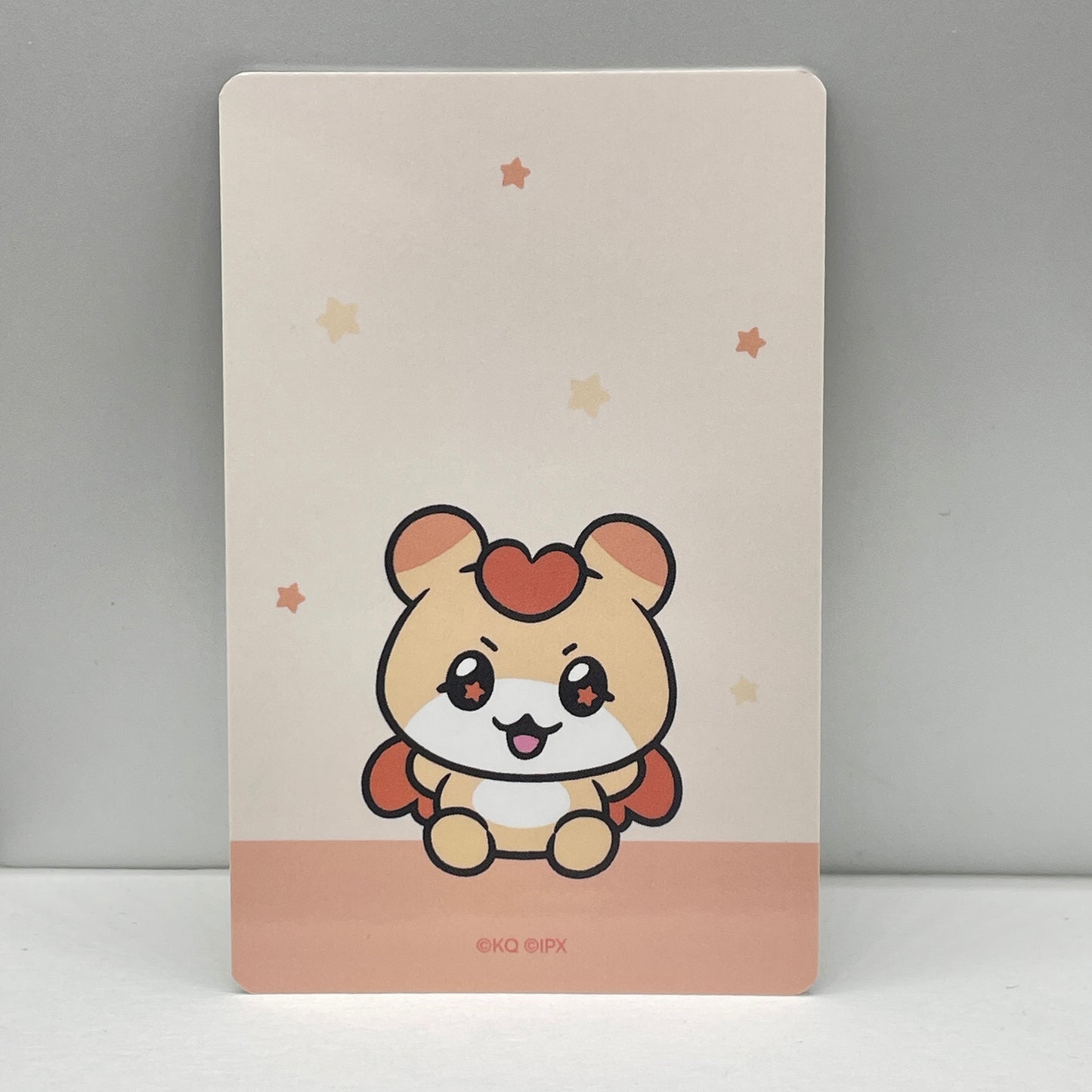 ATEEZ MIGHTEEZ Wonder Room POP-UP Purchase Bonus Photocard
